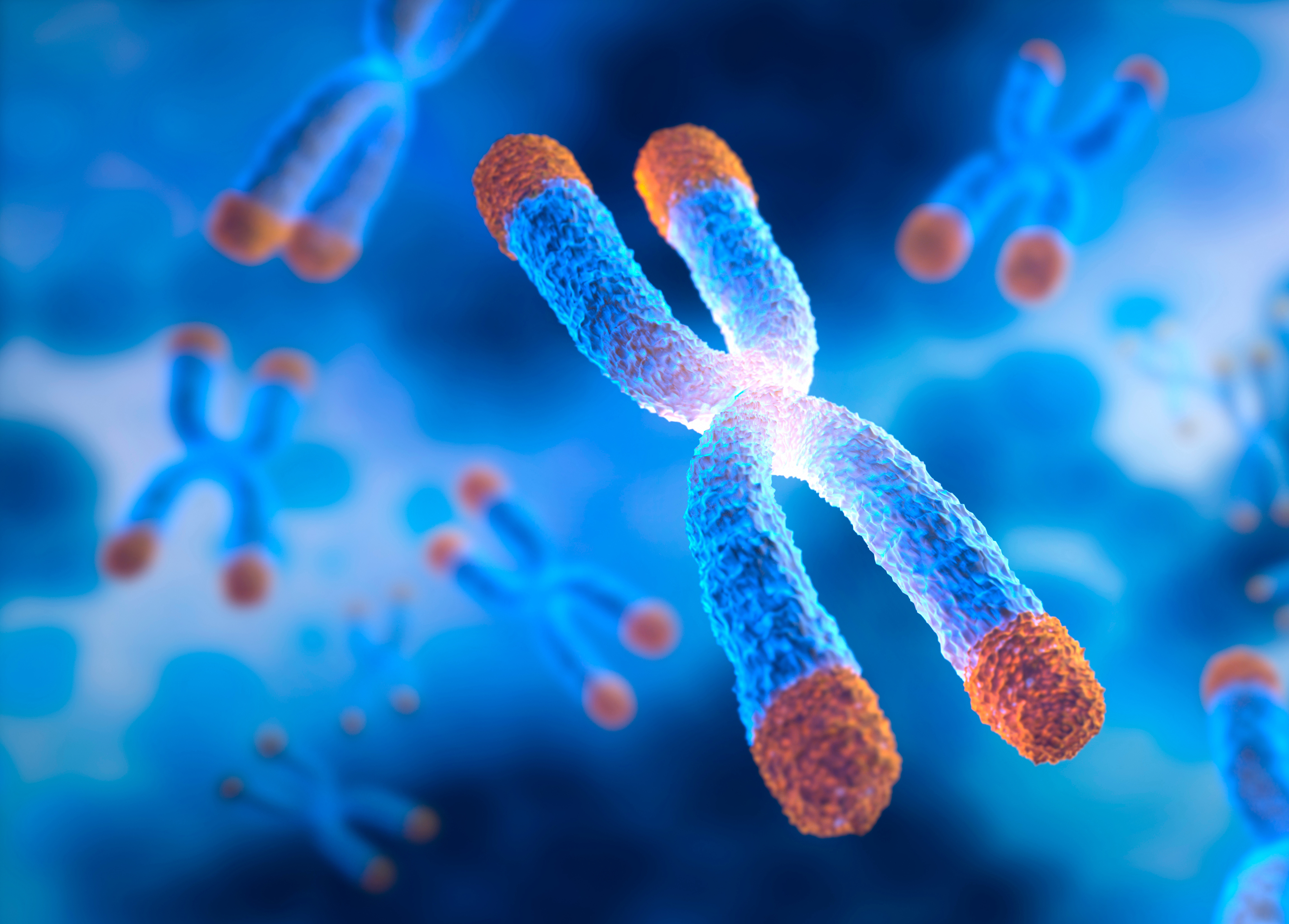 Espectacular: La enzima que alarga la vida.